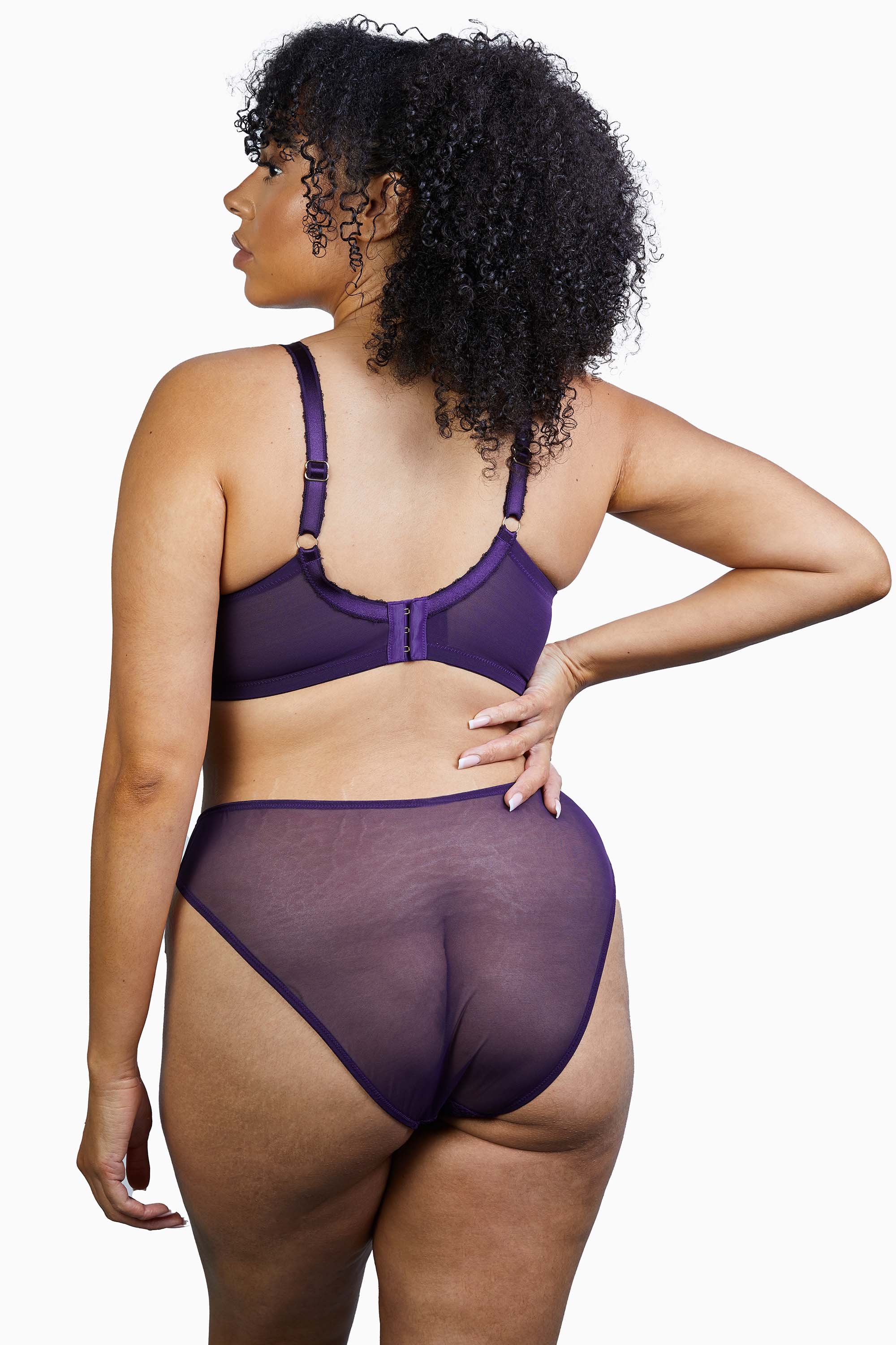 Deja Day Emma Vine Purple Brazilian Lace Brief