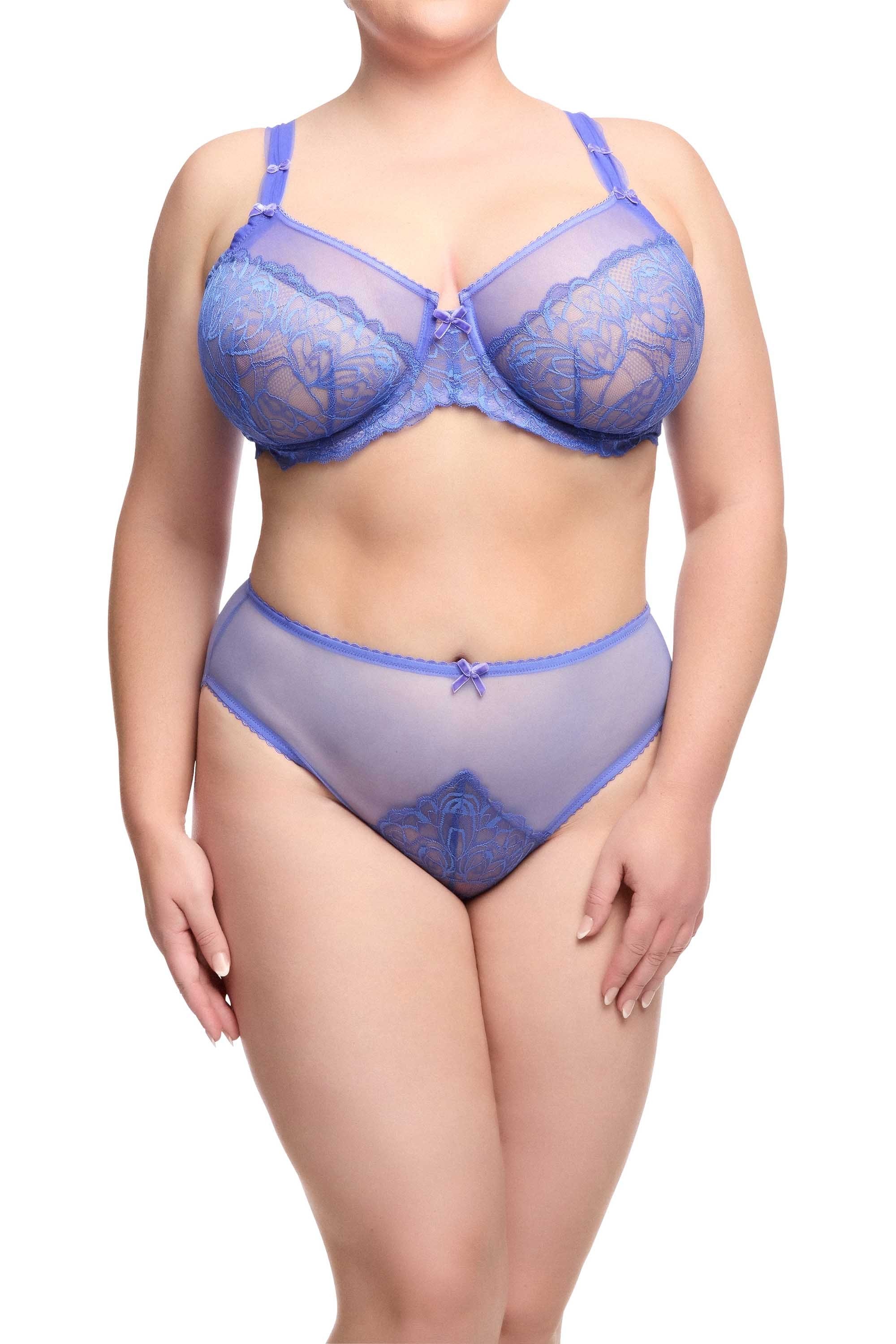 Gwendolline Blue Lace High Waisted Brief