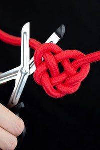 Red Bondage Rope